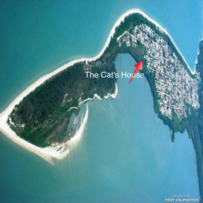 The Cats' House Hotel Florianopolis Exterior photo